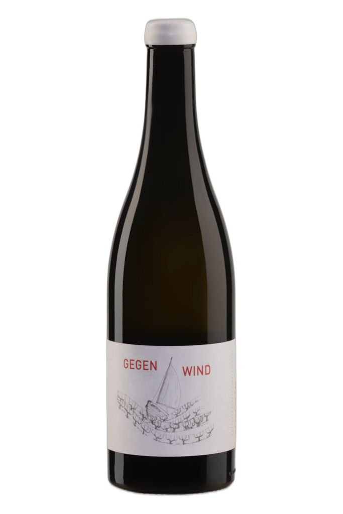 Grüner Veltliner Gegenwind 2023 von Nord und Süd