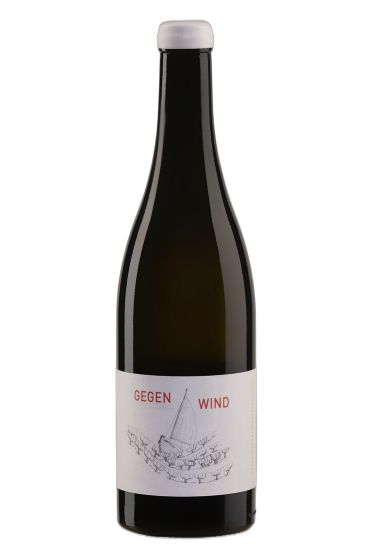 Grüner Veltliner Gegenwind 2023 von Nord und Süd