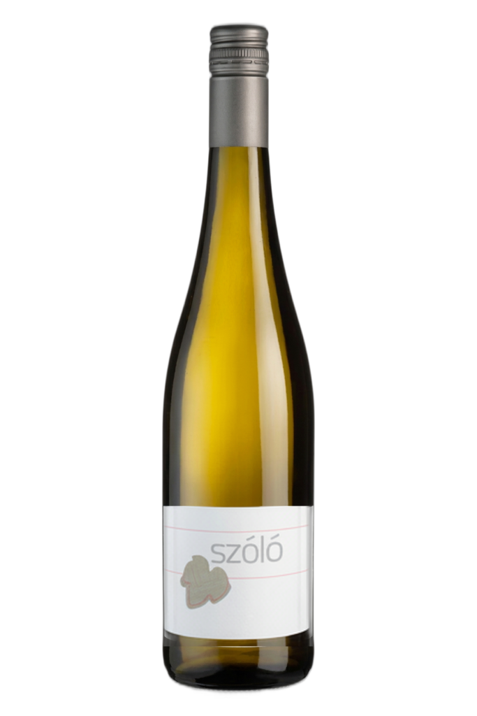 SZÓLÓ 2021 Ötödik von Szóló