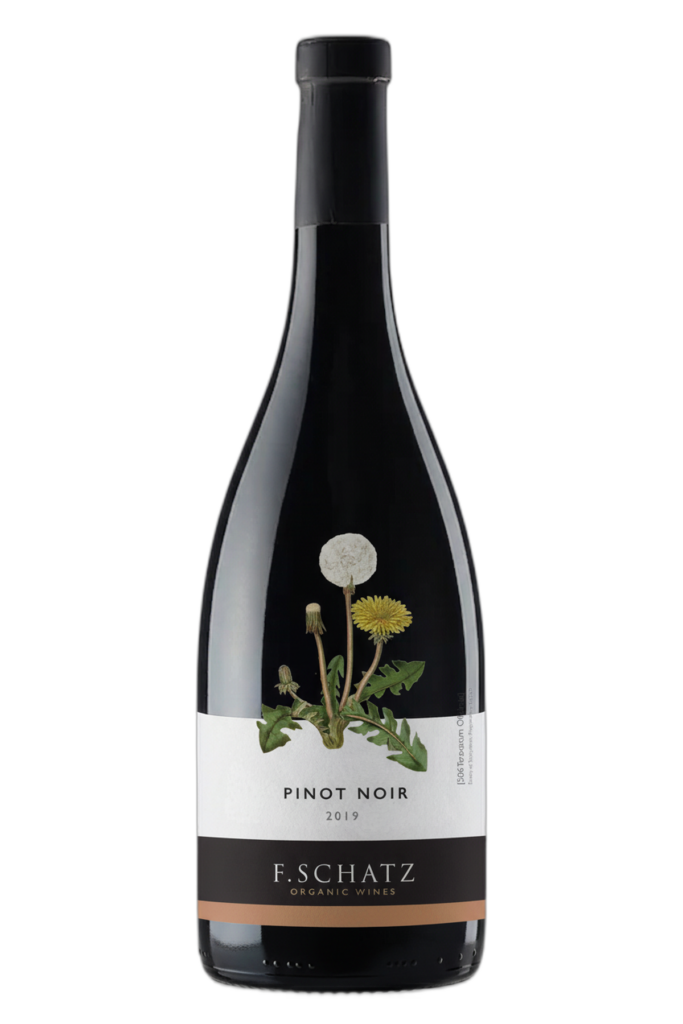 Pinot Noir 2019 von Bodega F. Schatz