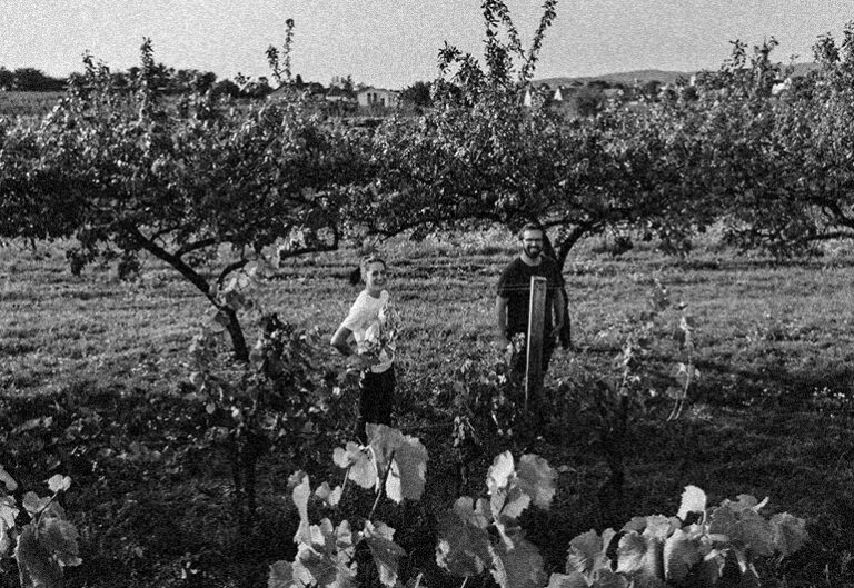 Weingut Weninger